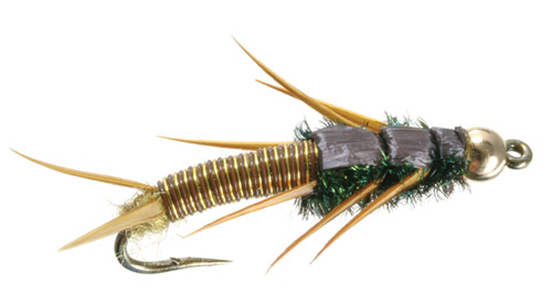 Wired Stonefly